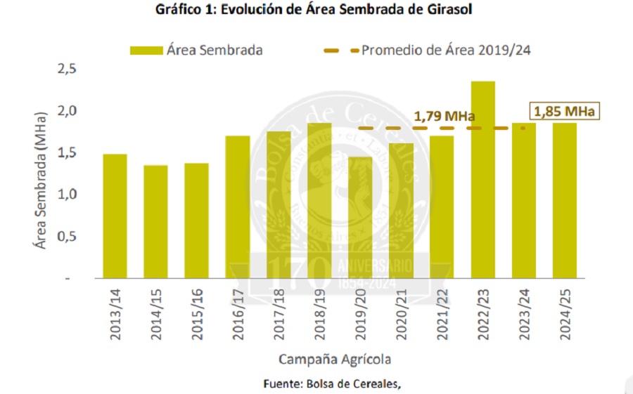 Girasol, siembra, hectáreas, 2024