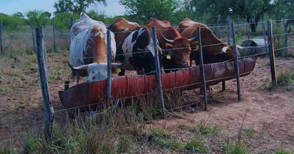 La Rioja, Sequía, ganadería