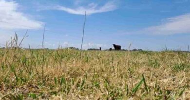 La Rioja, Sequía, ganadería, clima, primavera, La Niña, octubre