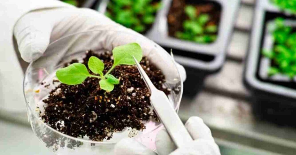 Bioinsumos, suelos agrícolas