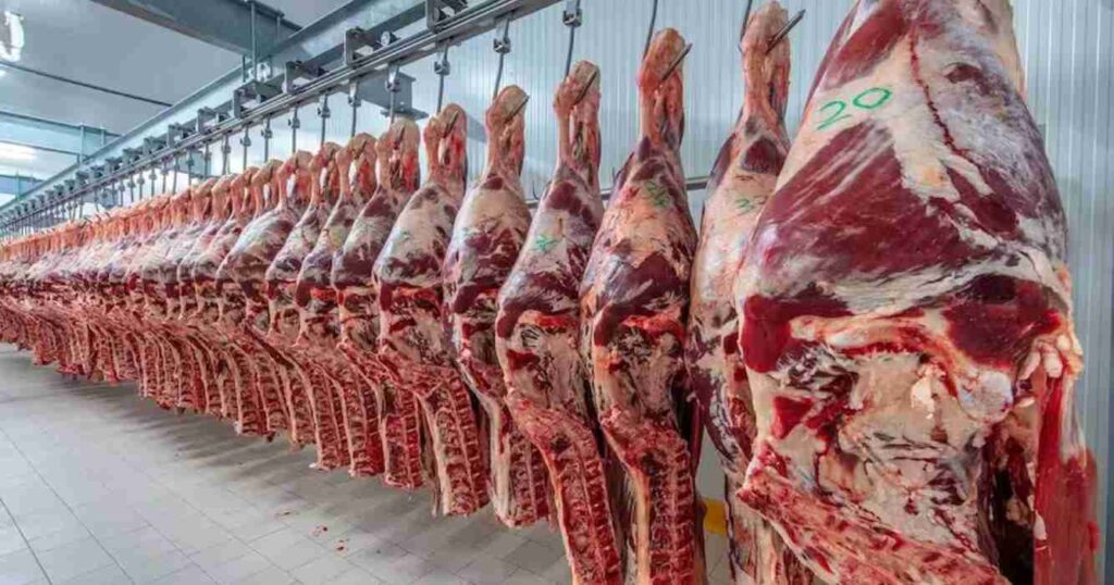 China, exportaciones, carne, vacuna, retenciones,carne vacuna, exportación