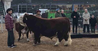 toro, La Rural, Místico, Scaloneta, legado, campeones