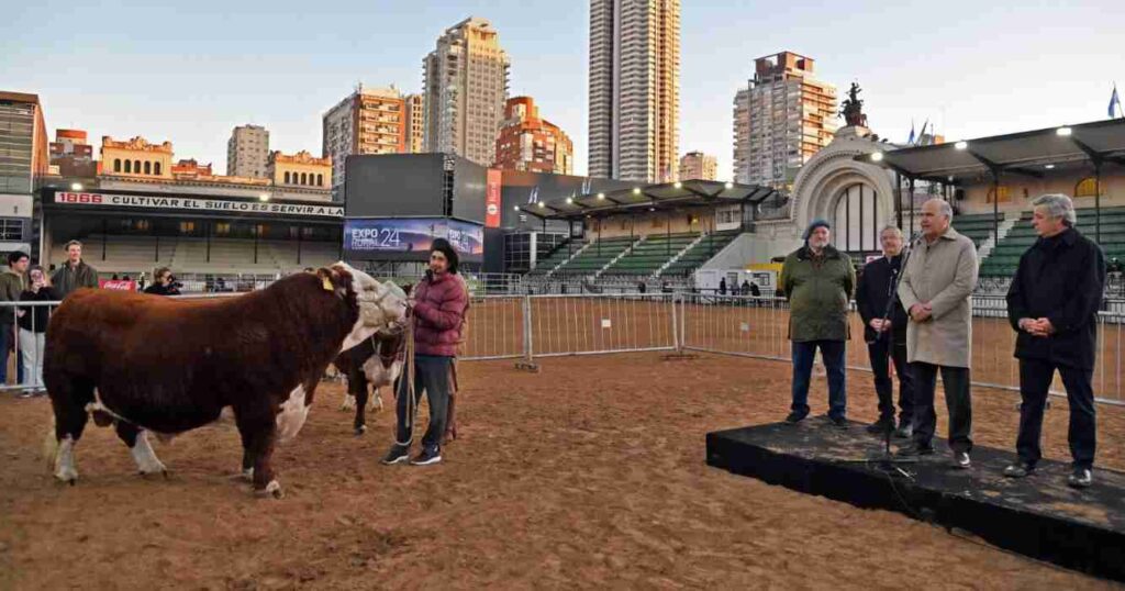 toro, La Rural, Místico, Scaloneta, legado, campeones