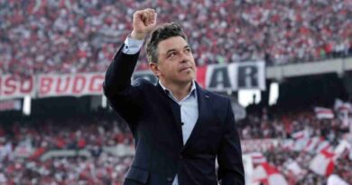 Marcelo Gallardo, River, Martín Demichelis