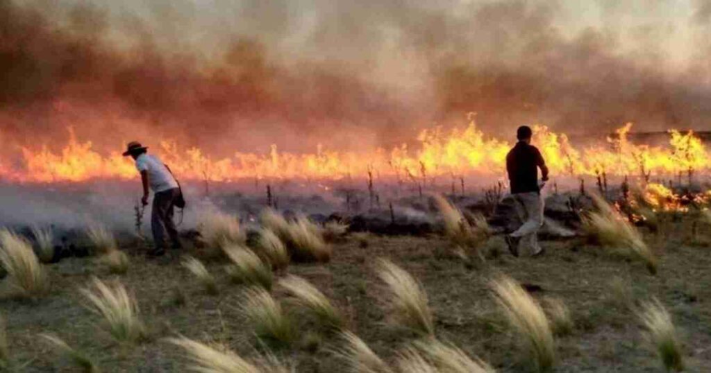 Incendios, focos de calor, alerta