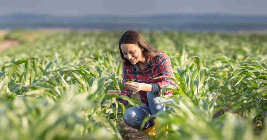 Mujeres, campo, mujeres rurales