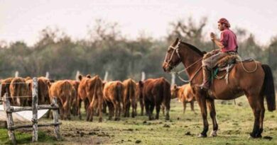 Trabajadores rurales, octubre