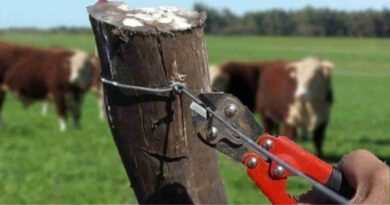 Inseguridad rural, santa fe