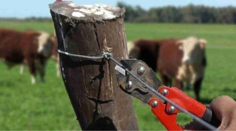 Inseguridad rural, santa fe