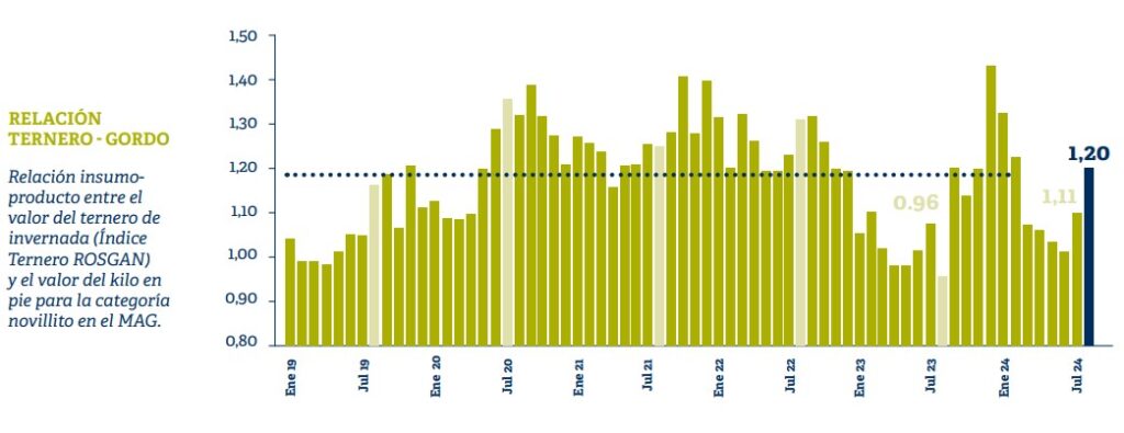 Feedlots, precio, gordo