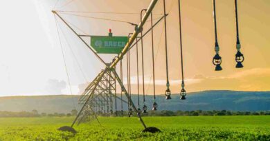 Agricultura, argentina, revolución