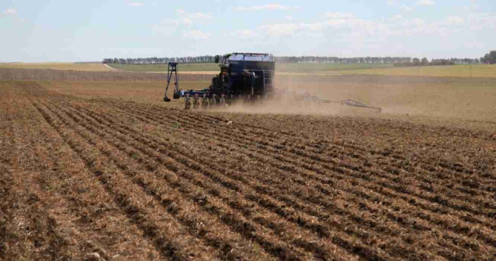 La Pampa, siembra gruesa