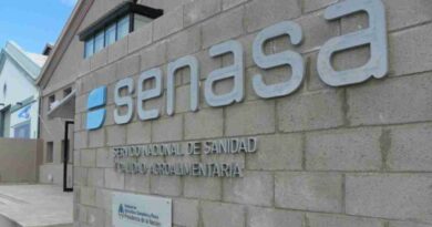 Senasa, Salta