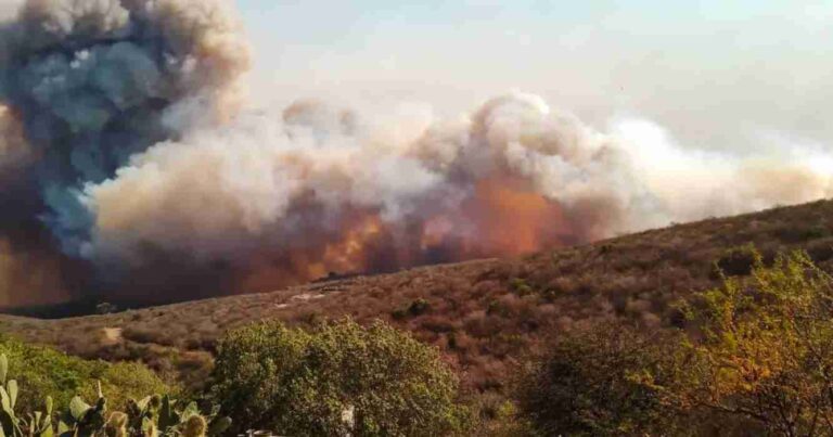 Incendios, Córdoba