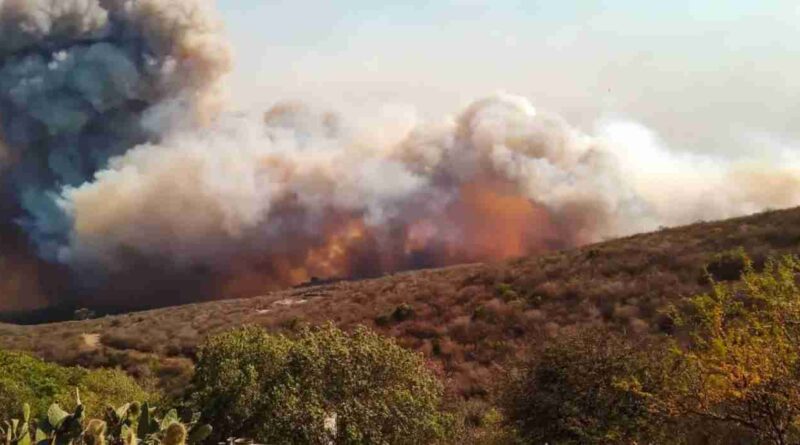 Incendios, Córdoba