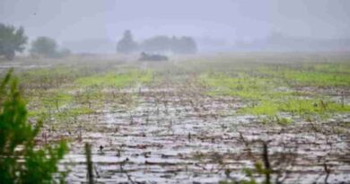 Clima, campo, lluvias