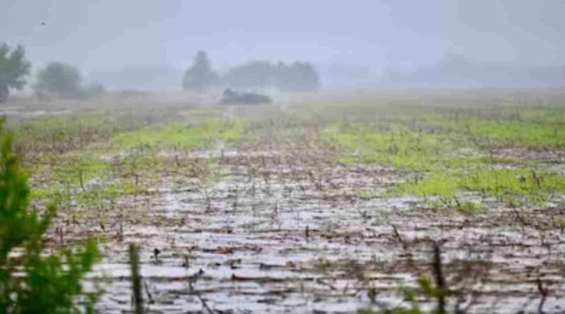 Clima, campo, lluvias