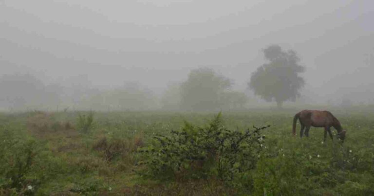 Clima, campo, lluvias