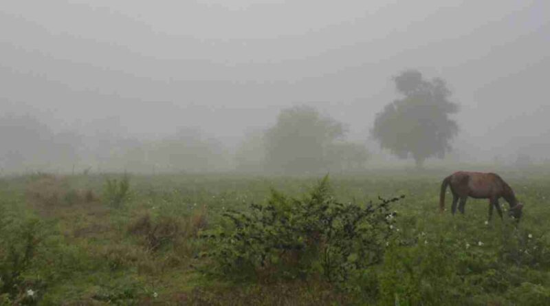 Clima, campo, lluvias