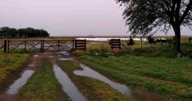 Clima, campo, lluvias