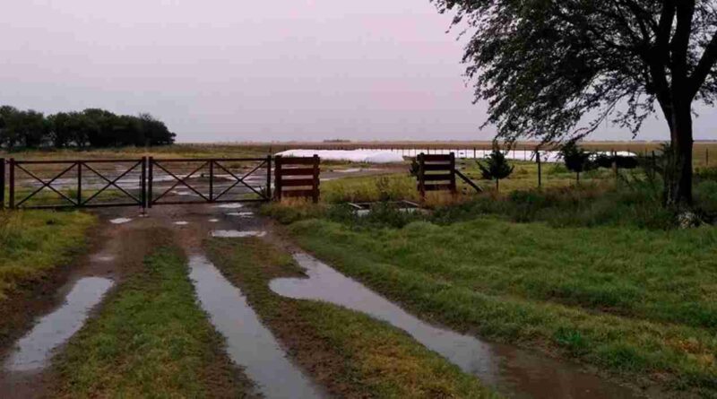 Clima, campo, lluvias