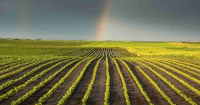 Clima, campo, lluvias, activos fijos, Verano 2025