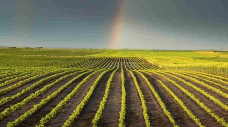 Clima, campo, lluvias