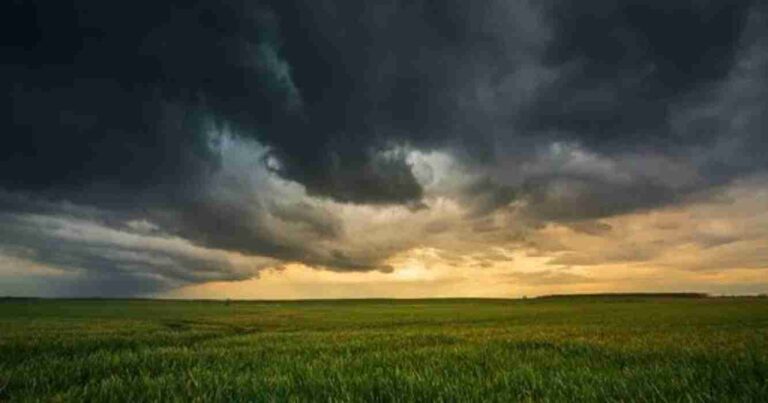 Clima, campo, lluvias