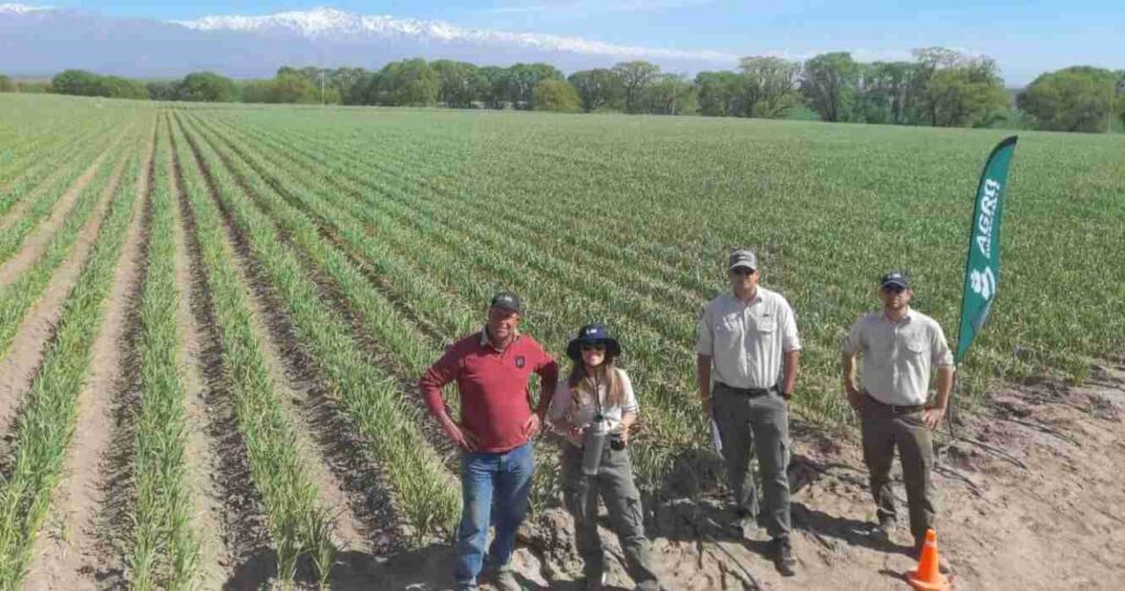 Cambio climático, empresa argentina, ONU