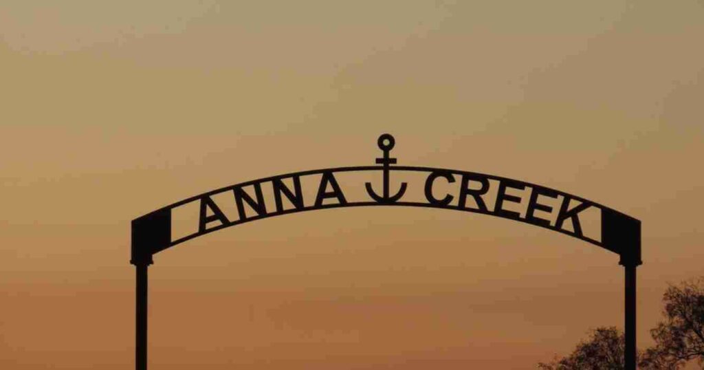 Anna Creek, campos, ganadería