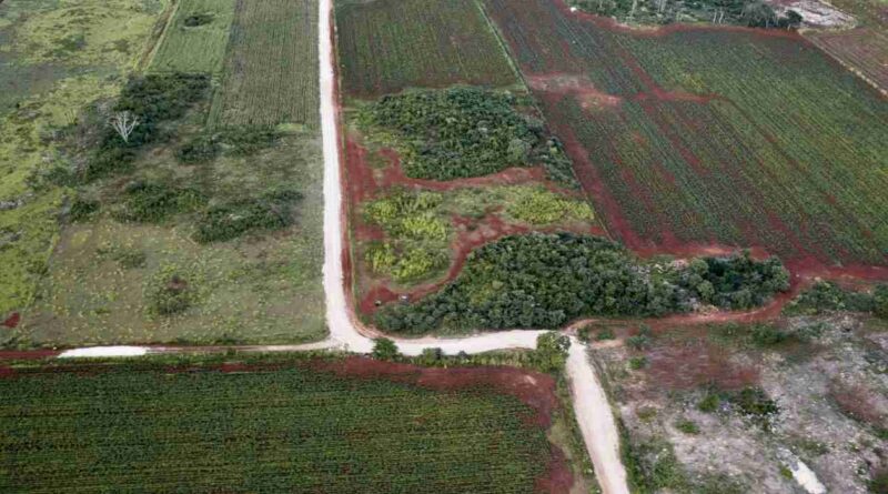 Campos, deforestados, ley de deforestacion, europa