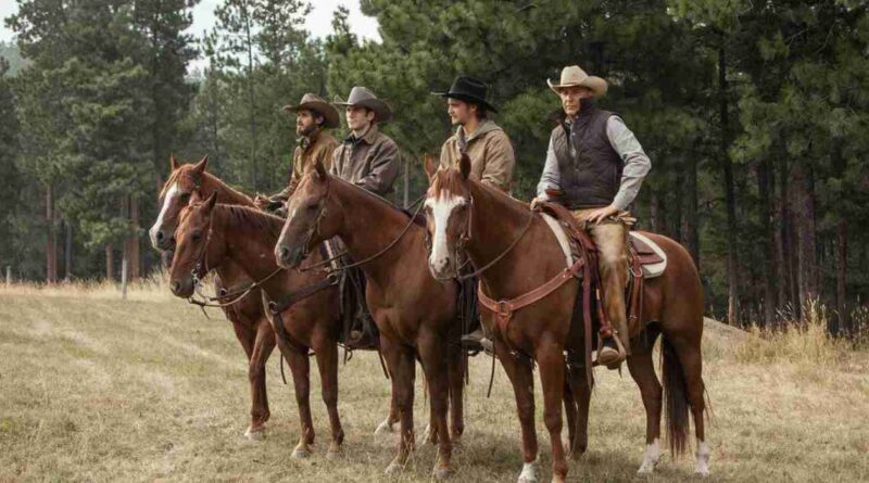 Yellowstone, ganadería, serie