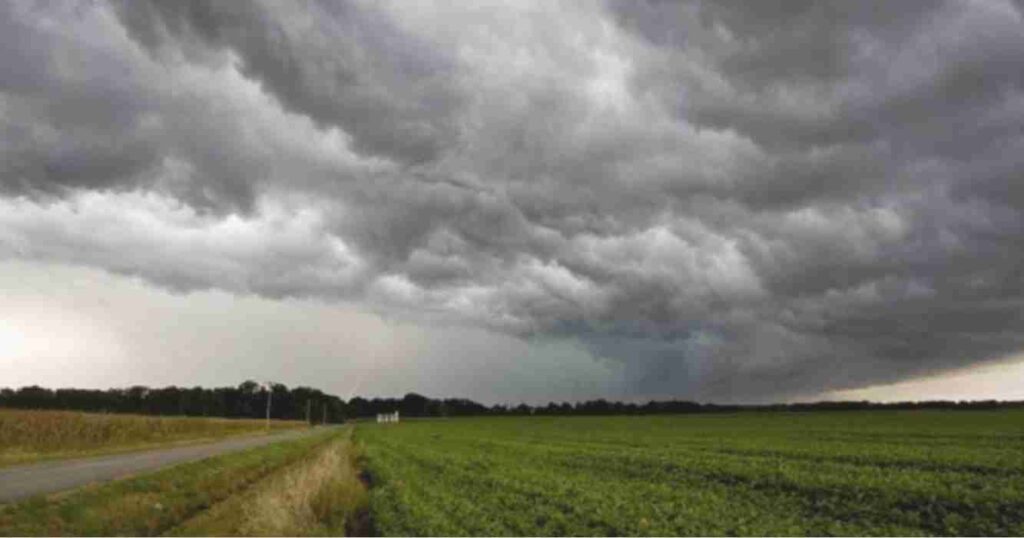 clima, campo, lluvias