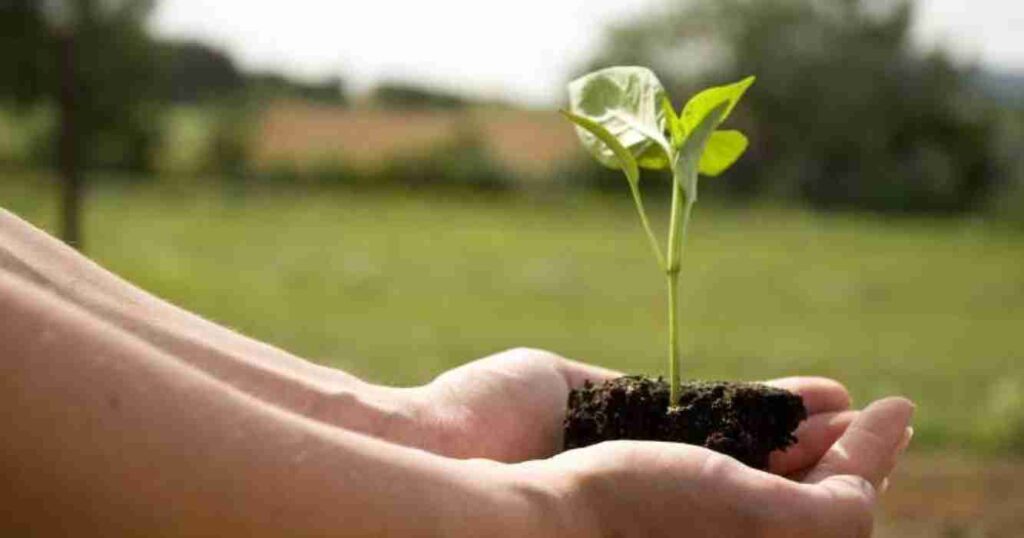 Sustentabilidad, campo argentino, huella de carbono, 