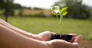 Sustentabilidad, campo argentino