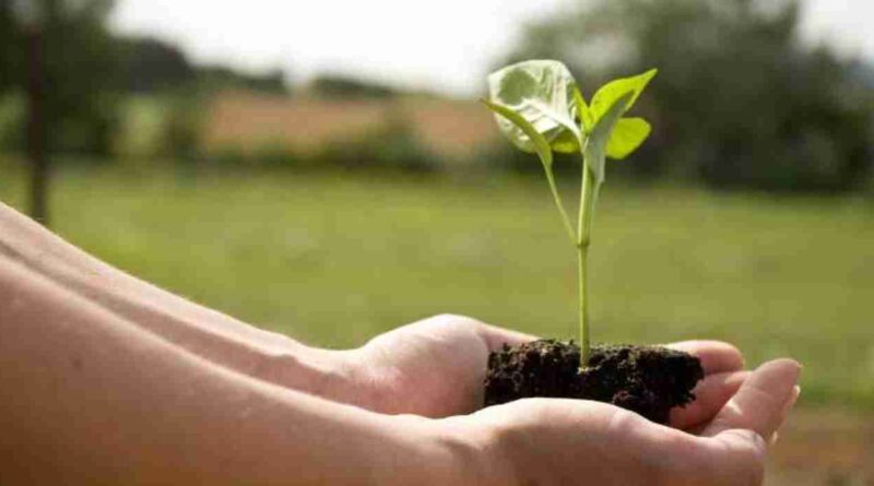 Sustentabilidad, campo argentino