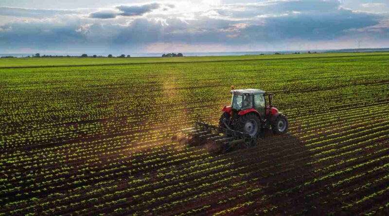 maquinaria agrícola, Robot agrícola, Mendoza, INTA, mecanización agrícola