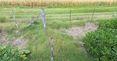 campo, alambres, biodiversidad