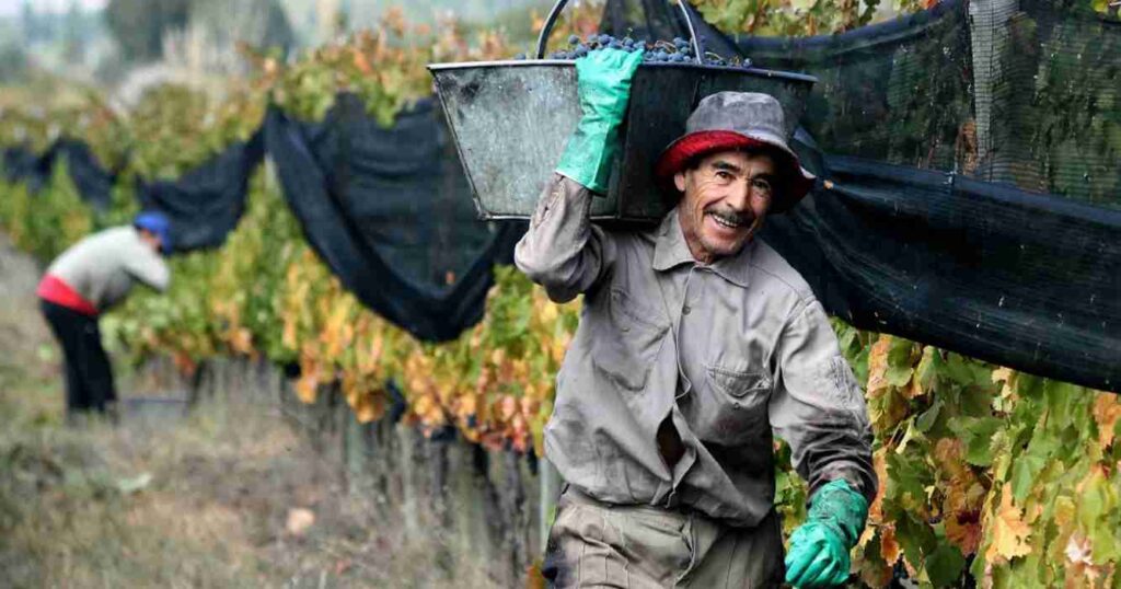 Trabajadores rurales, bono, renatre