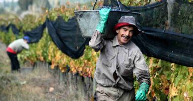 Trabajadores rurales, bono