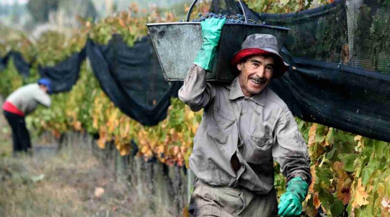 Trabajadores rurales, bono