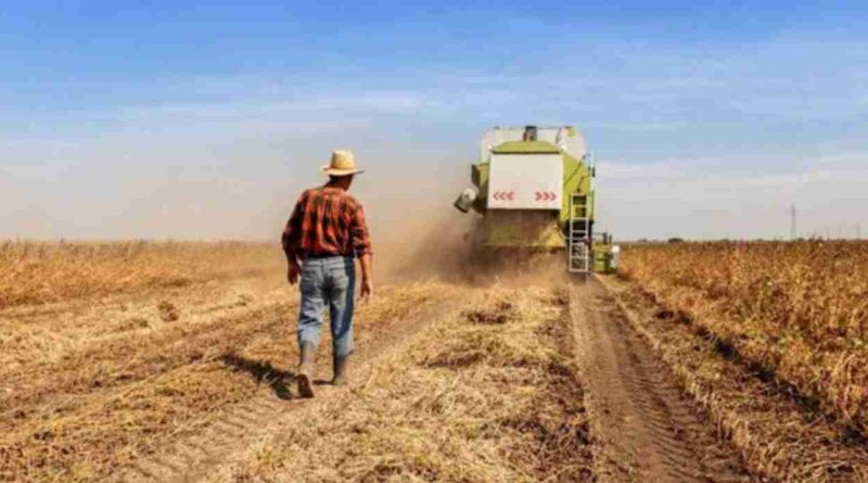 Trabajadores rurales, bono