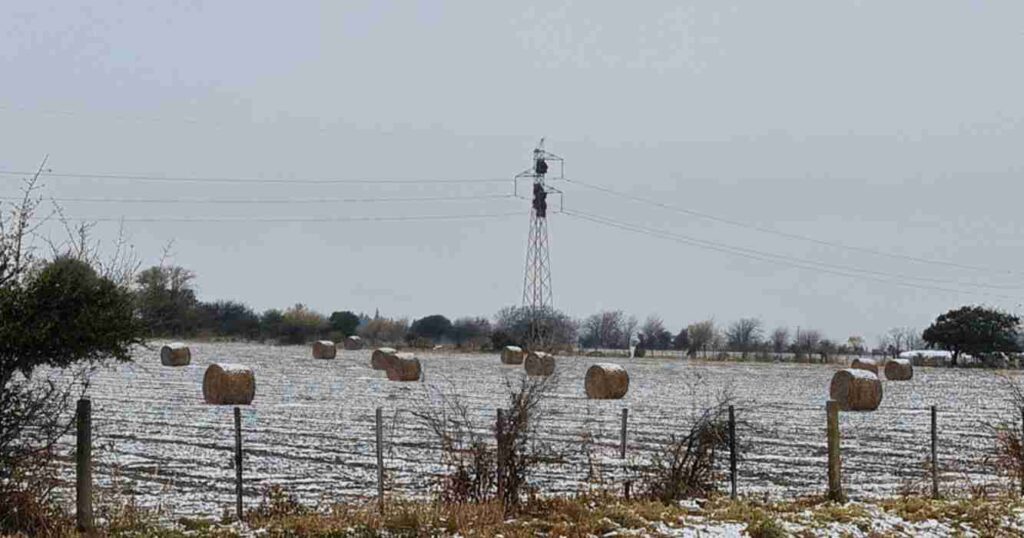 Neuquén, nevadas tardías