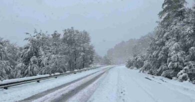 Neuquén, nevadas tardías