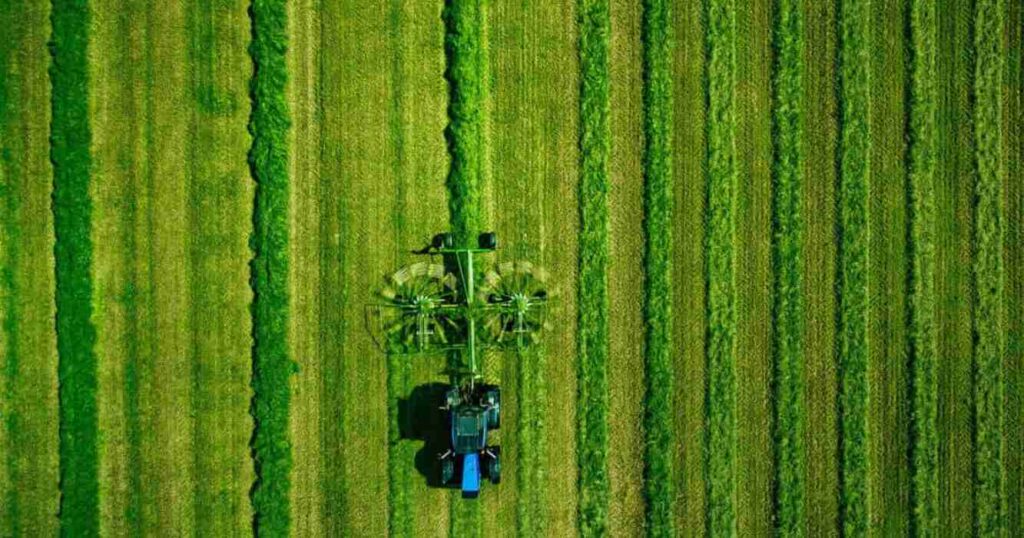 Campo, polvo, agro