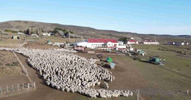 Ganadería, estancia