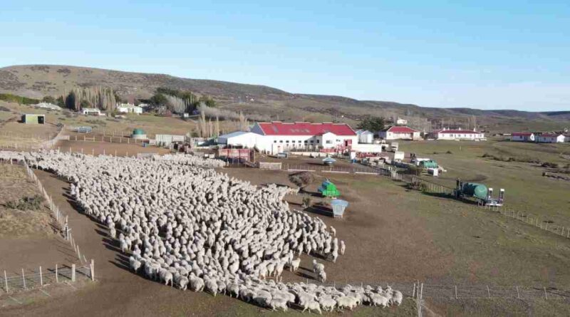 Ganadería, estancia