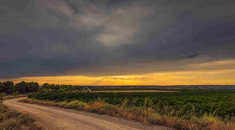 Santa fe, camino rural, terror