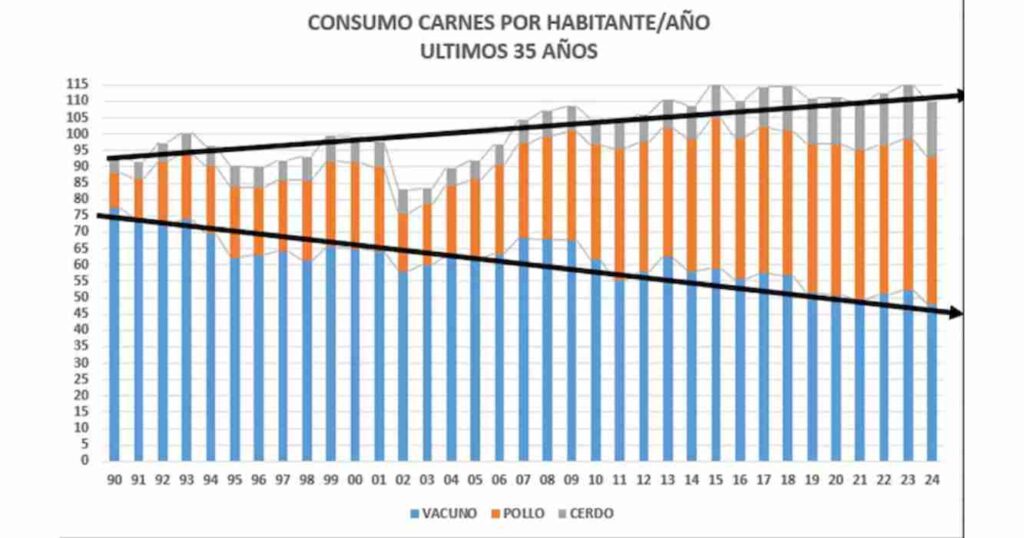 carne vacuna, consumo