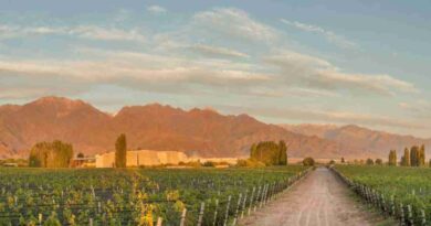 Familia Zuccardi, bodega